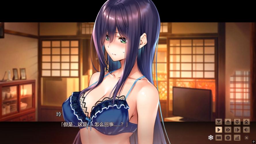 深入解析《甜蜜女友2》：绅士游戏的魅力与挑战