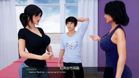 淑女都市V1.0e完结版安卓汉化的深度解析与玩家体验