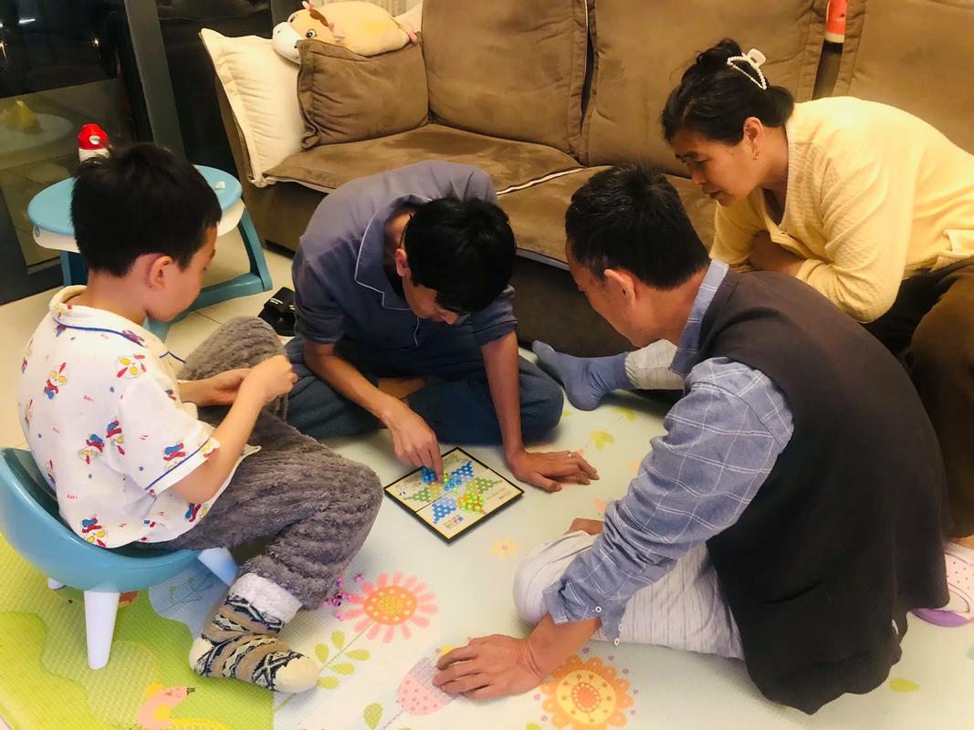 家人在家游戏的多元化体验与影响分析