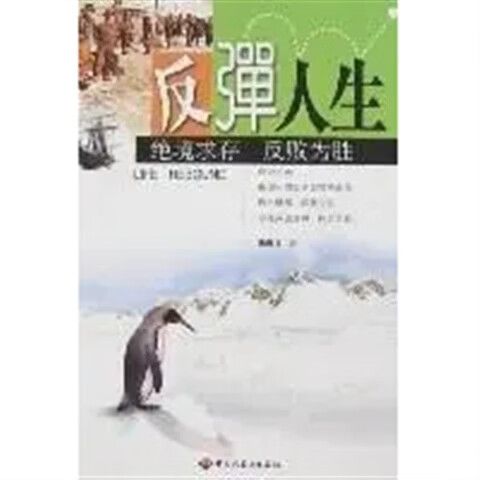 探讨反弹人生下载地址的背后：游戏传播与用户体验的深度分析