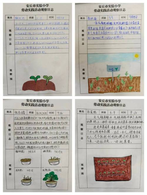 深入分析：我的播种农场汉化版最新更新内容