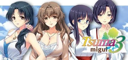 妻中密绅士游戏:从情感深度到玩法体验的全面分析