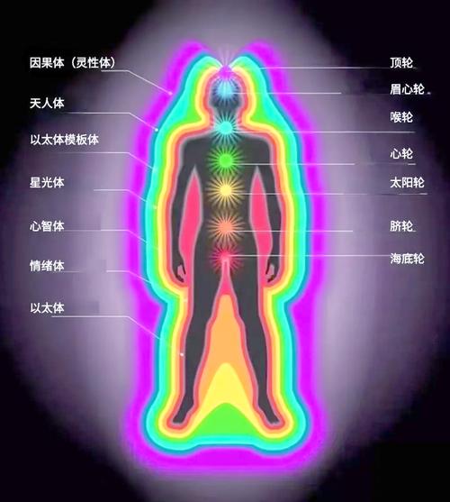 深度解析生命体V0.18b更新：新特性与游戏体验的提升