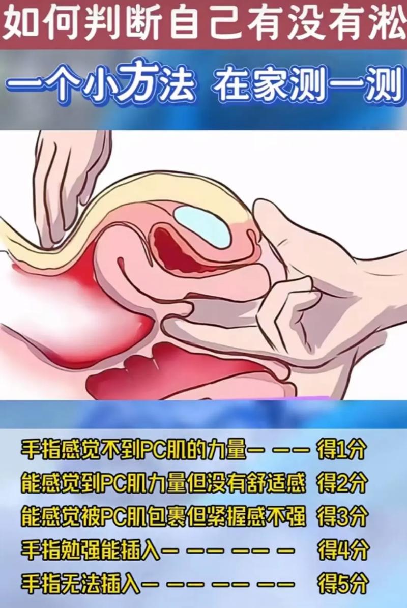 深度解析MM的密友官方正式版下载最新版的魅力与未来