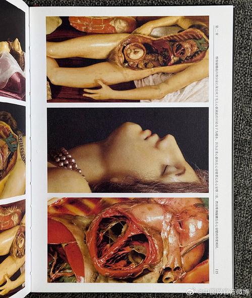 深入解析维纳斯俱乐部V0.9.5.1最新版本的创新与优势