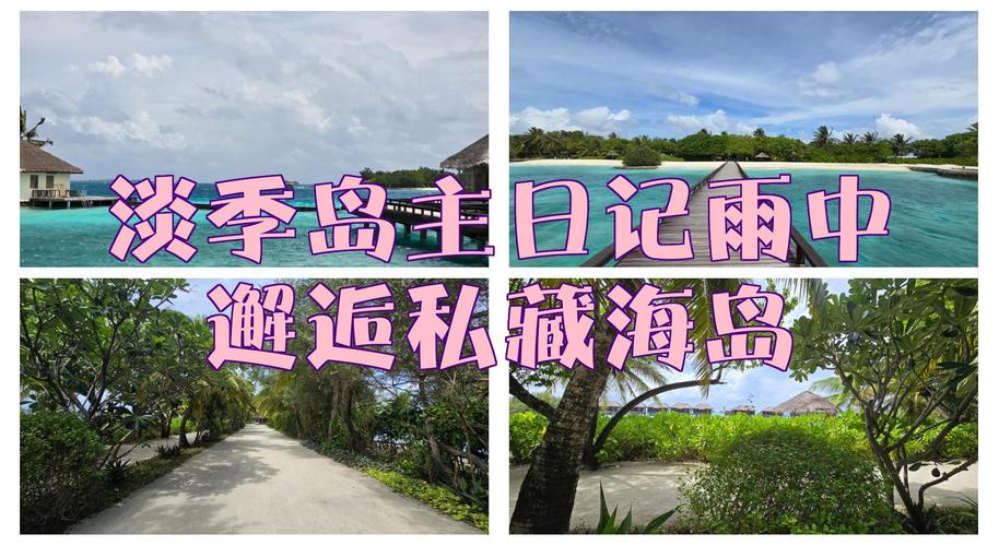 岛主日记最新：深度解析与未来展望