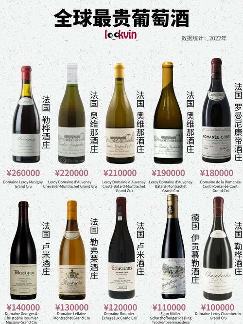 深入分析“超级富豪酒池肉林游戏官网”的市场影响与用户体验