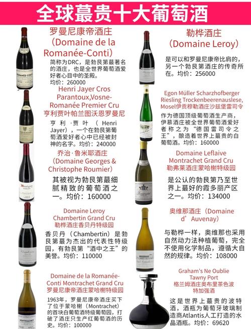 深入分析“超级富豪酒池肉林游戏官网”的市场影响与用户体验