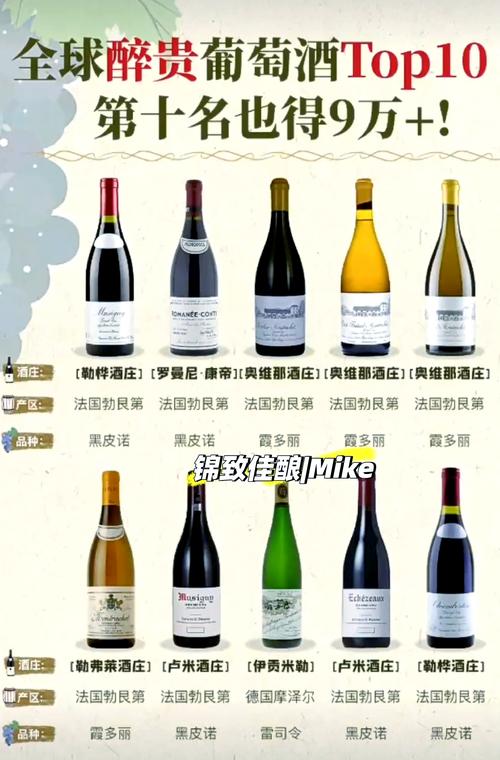 深入分析“超级富豪酒池肉林游戏官网”的市场影响与用户体验