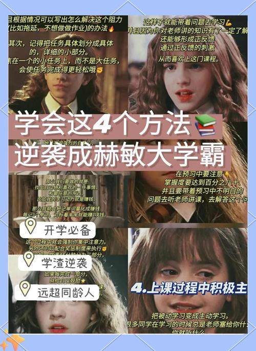 深入解析教育赫敏V1.46魔改官方正式版的独特魅力与应用前景