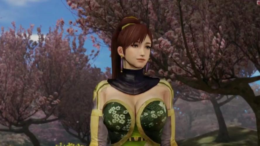 真三国无双绅士版汉化版下载的深度剖析与市场前景