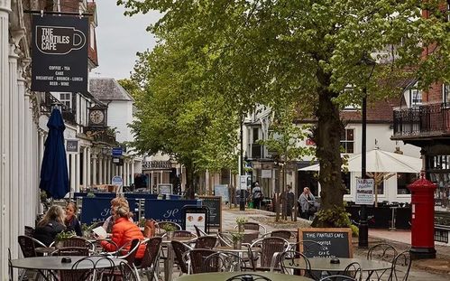 深度解析《精英花园》游戏攻略：提升玩法的多个维度