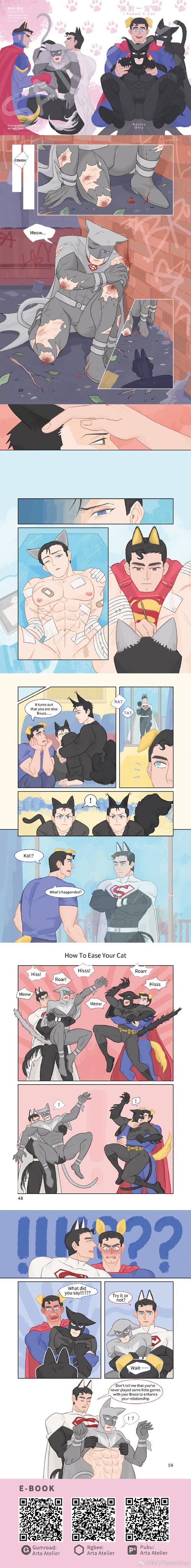 深度解析《变身夏日V1.37安卓汉化》的魅力与挑战