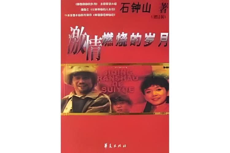 激情燃烧的岁月汉化版下载：深度分析与实用建议