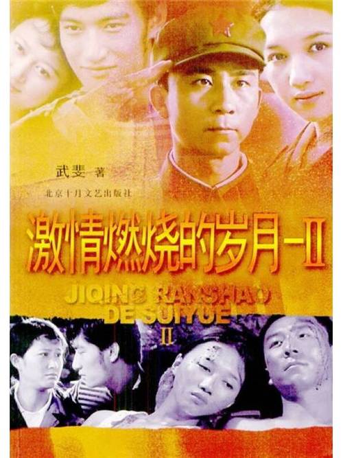 激情燃烧的岁月汉化版下载：深度分析与实用建议