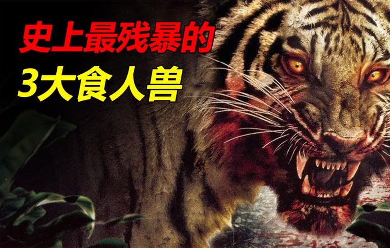 深入探讨：暴食的怪兽公主汉化版最新更新内容及其影响