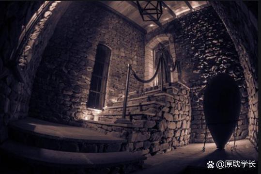 深入探索受诅咒的地下城游戏官网：机制、体验与玩家反馈