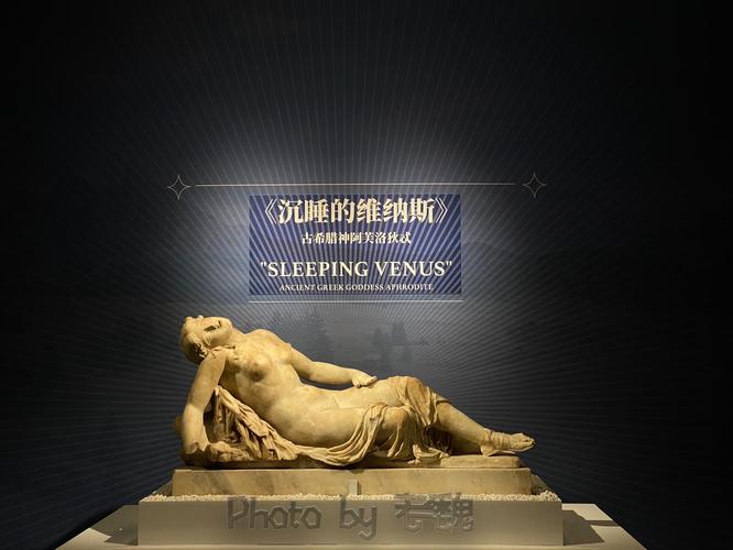 深入探讨：维纳斯俱乐部V0.9.5.1的下载指南与风险分析