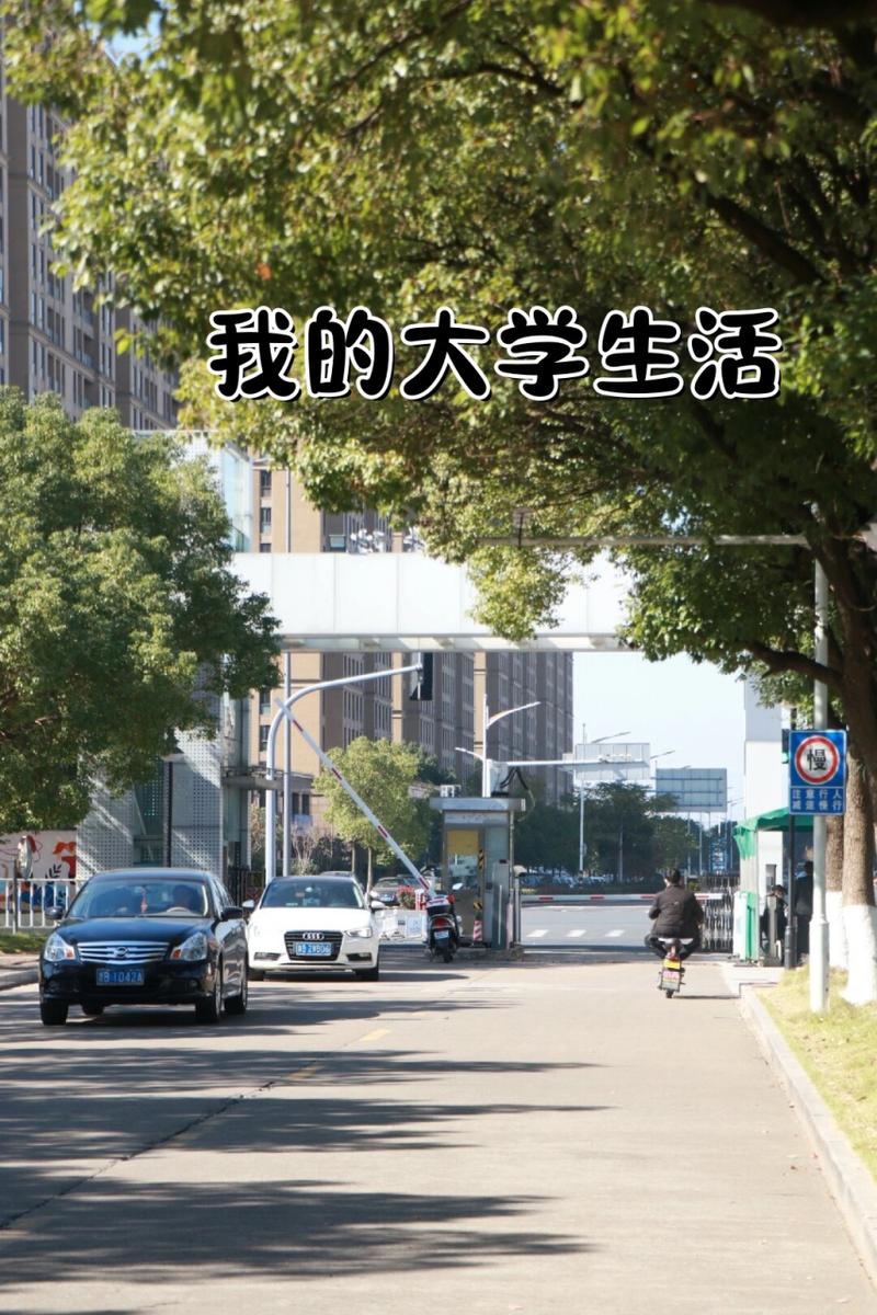 探索《我的大学生活S3》的更新地址及其对玩家体验的影响