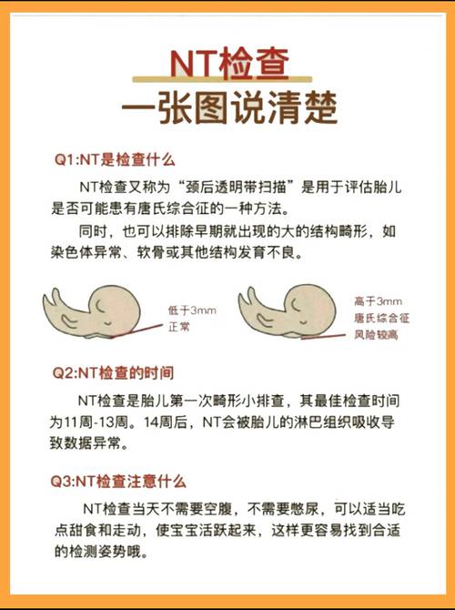 深入解析：编年史NTR完结版的魅力与下载指南