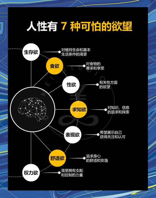 深入解析《欲望理论》第三季官方正式版：全新玩法与玩家期待