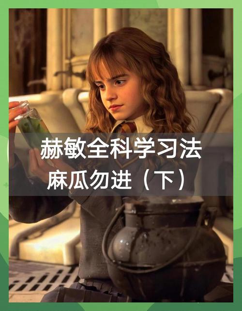 深入探讨《教育赫敏V1.46魔改安卓汉化》的影响与潜力