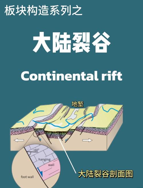 深入探讨《裂谷中的房子》最新版本：特性与提升策略