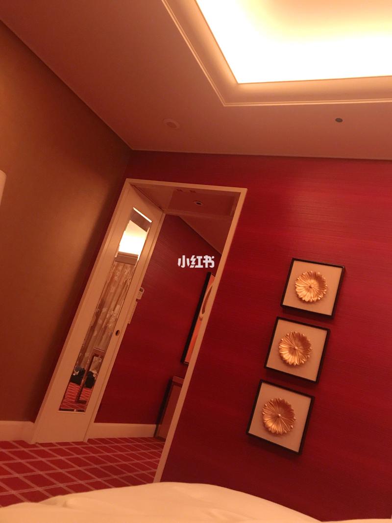 红色房间下载指南：专业分析与建议