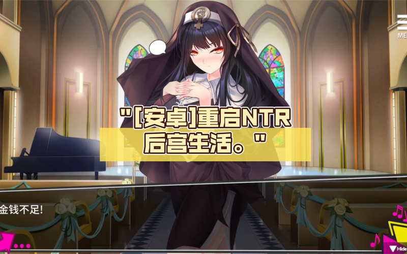 NTR后宫生活：安卓游戏中的沉浸式体验与市场分析