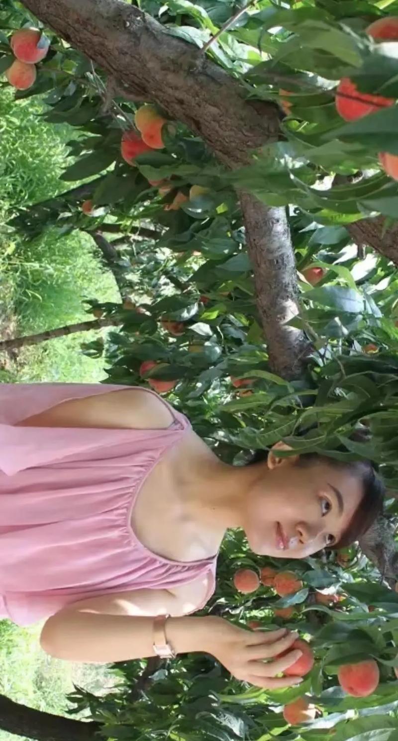 欲望开花官方网站：绅士游戏市场的先锋与挑战