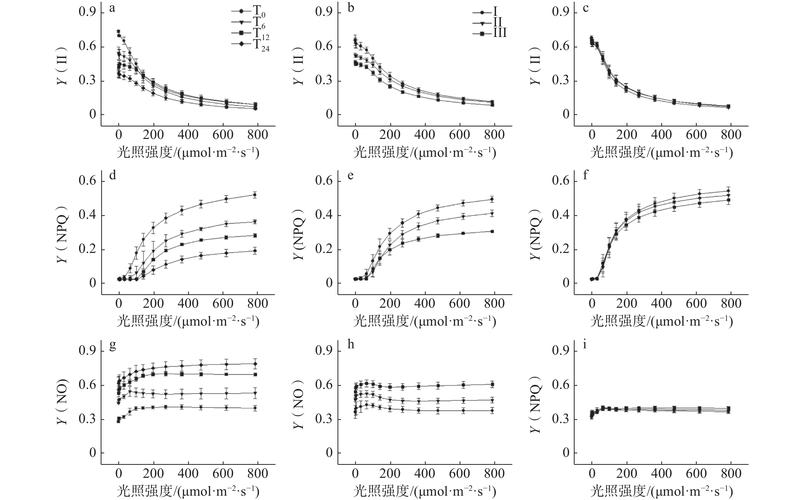 深入分析《胁迫COERCION》游戏官网的核心特点与市场定位