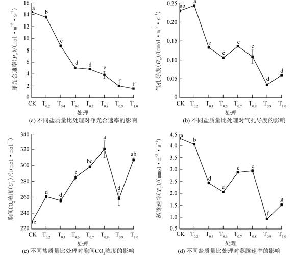 深入分析《胁迫COERCION》游戏官网的核心特点与市场定位