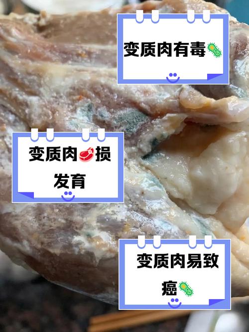 深入分析《肉烂在锅里》游戏攻略：策略与技巧的完美结合