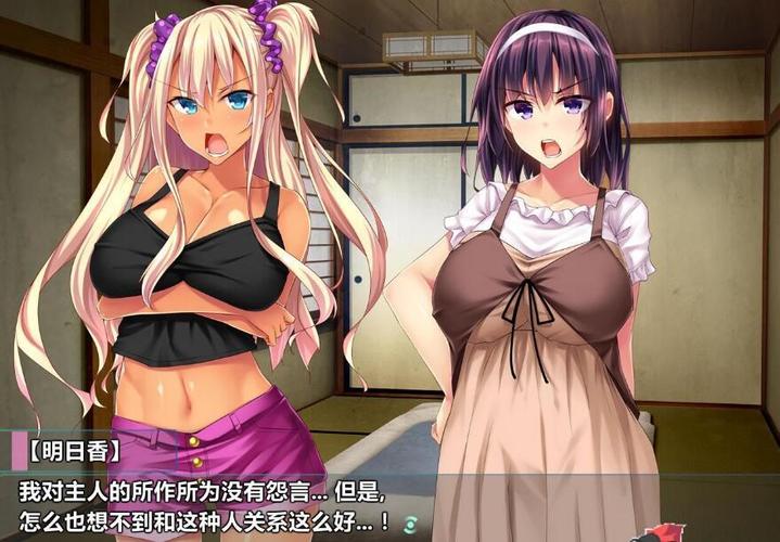 解析底层临时工复仇洗恼记安卓汉化的文化与技术影响