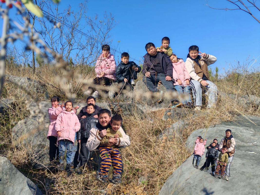 探索“乡村生活的快乐暑假”游戏下载的乐趣与深度分析