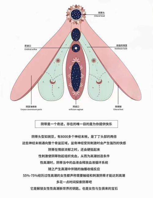 深度解析《蒂法的工口幻想最新》：绅士游戏中的角色塑造与文化影响