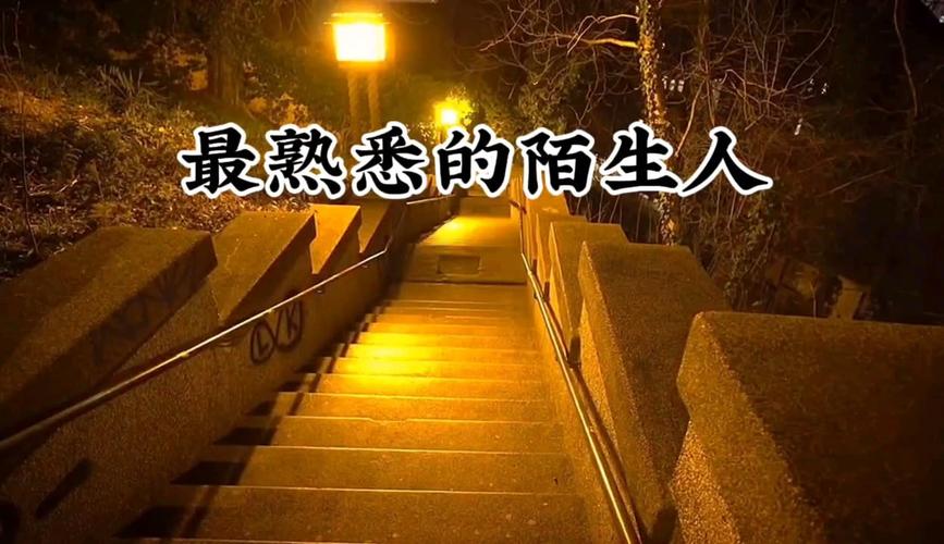 孤独的陌生人版本大全:深度分析与实用建议