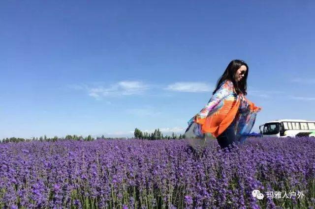 烂漫官方网站：深度解析其在绅士游戏领域的影响与发展