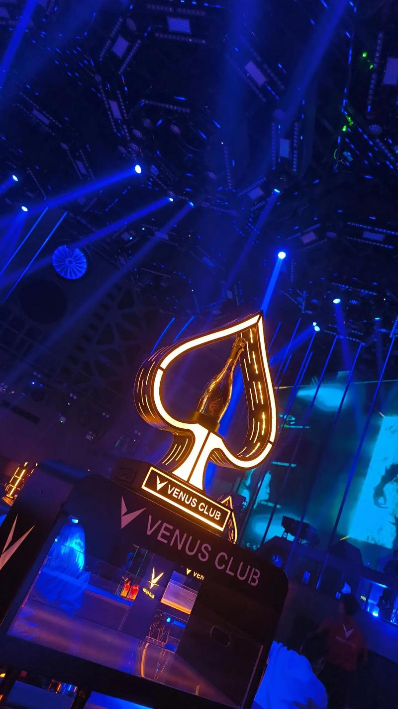 探寻维纳斯俱乐部V0.9.5.1的下载途径与游戏特色分析