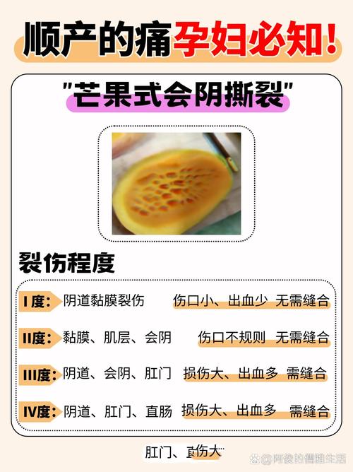 深入解析:SOA亲妈姨妈歌手版游戏攻略