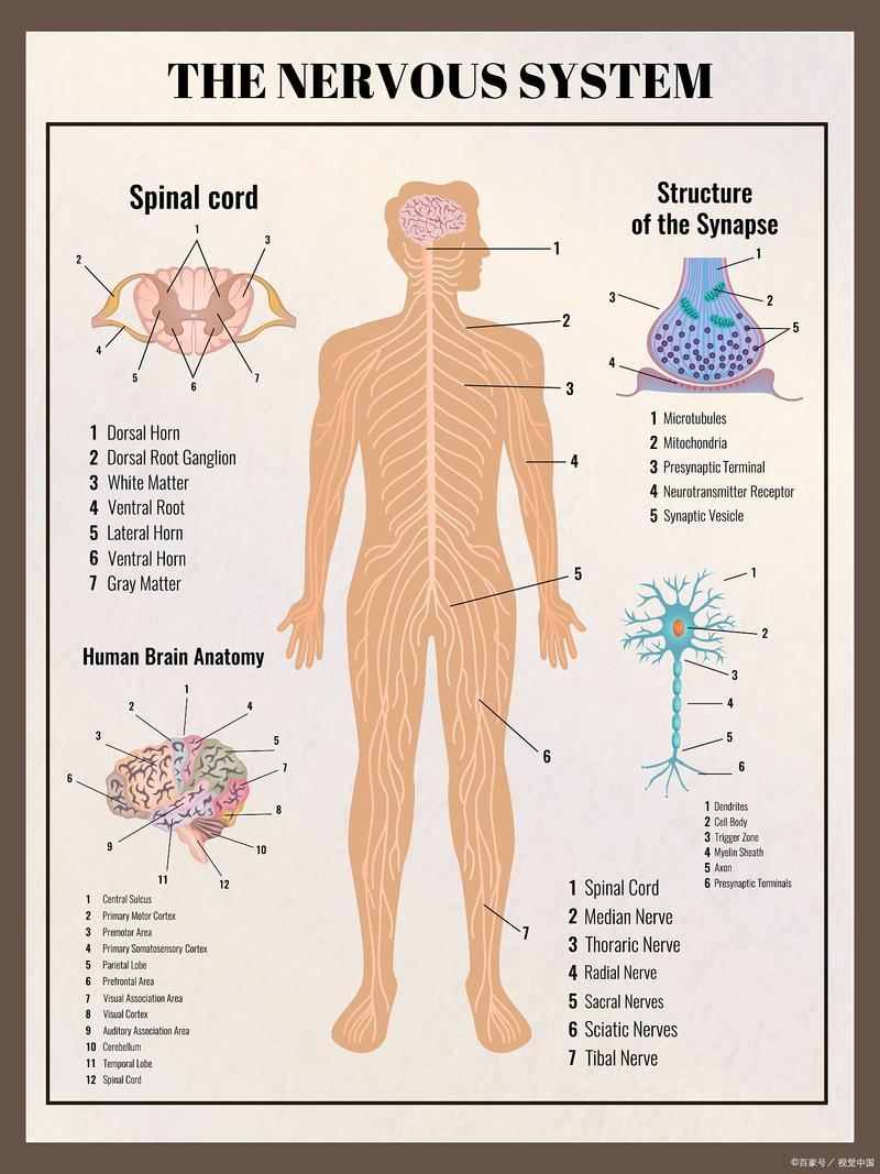 深入解析生命体V0.18b下载安卓的游戏机制与玩家体验