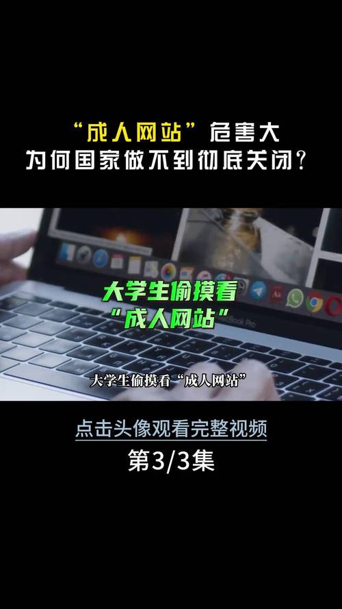 女大学生沉迷官方网站现象的深度分析与应对策略