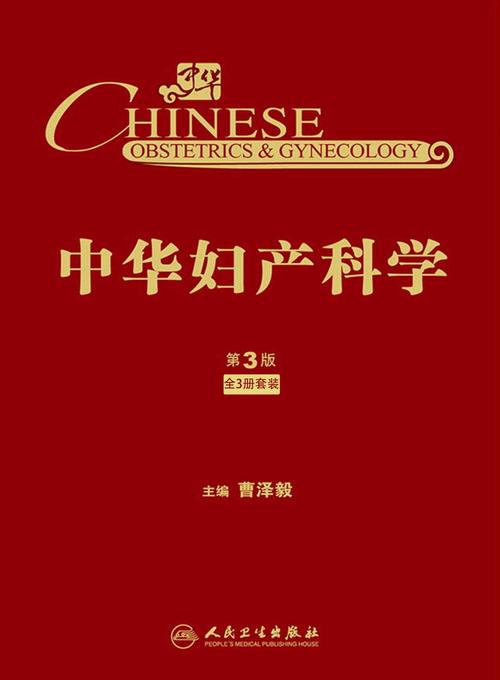 解密“妇科医生安卓汉化”：绅士游戏中的文化与技术交汇
