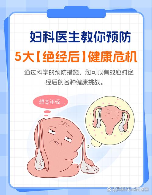 解密“妇科医生安卓汉化”：绅士游戏中的文化与技术交汇