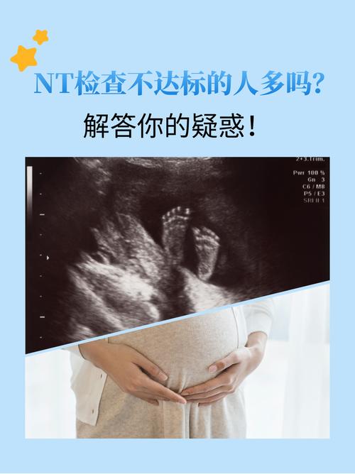 深入探讨邻居人妻NTR官方网站：文化影响与市场分析