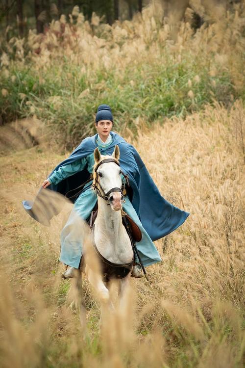 《我为情狂杨过游戏》的深度分析：情感与策略的交织