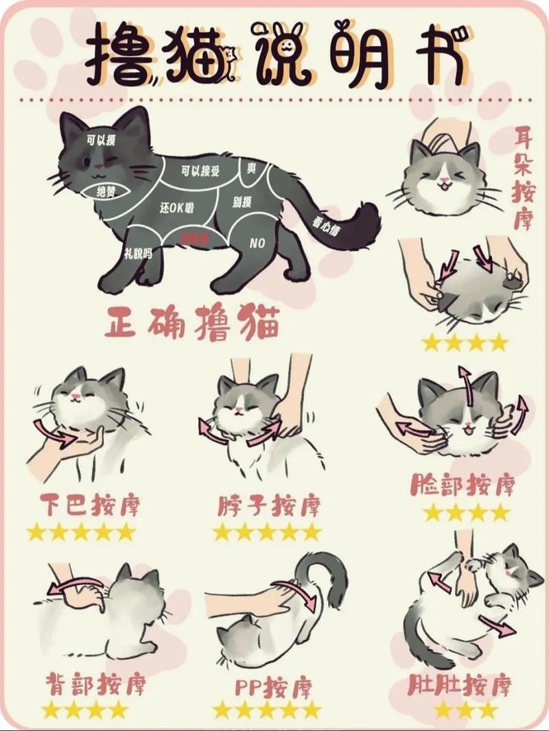 当你的猫咪如何下载：探索虚拟猫咪世界的魅力