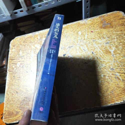 深入探索《遗失的女儿》：一款值得期待的独立冒险游戏