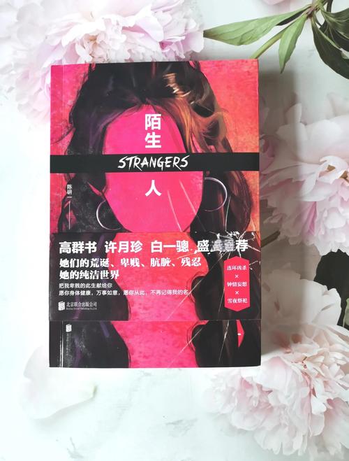 《孤独的陌生人》：深度解析与游戏下载指引