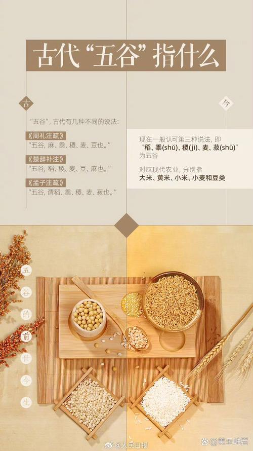 深度解析五谷神稻荷：Inari更新地址的影响与前景